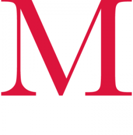 Mirror Logo