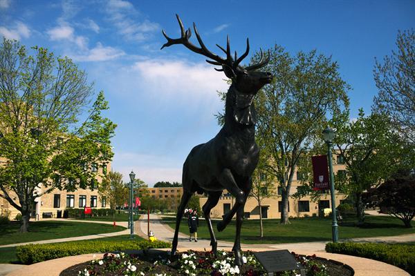 Spring Fest Welcomes Warm Weather