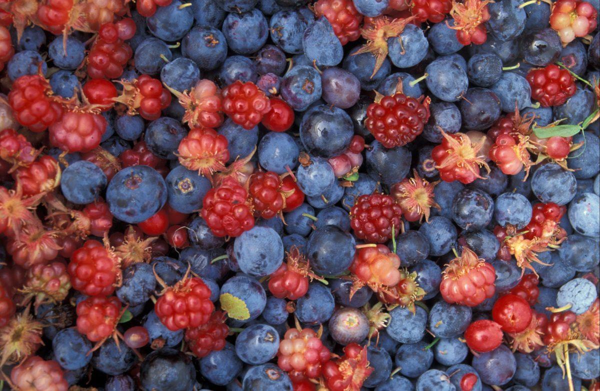 Cooking with Colleen: Six Healthy Alternatives