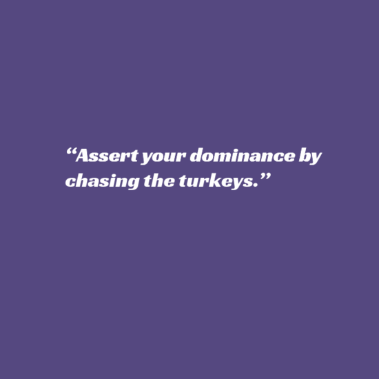 Overheard in Barone 10/7