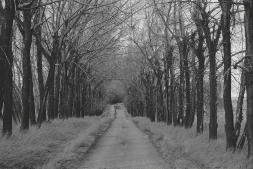 Travels on a Foreign Road