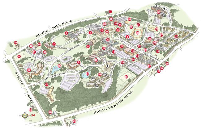 Parking Policy Puzzles