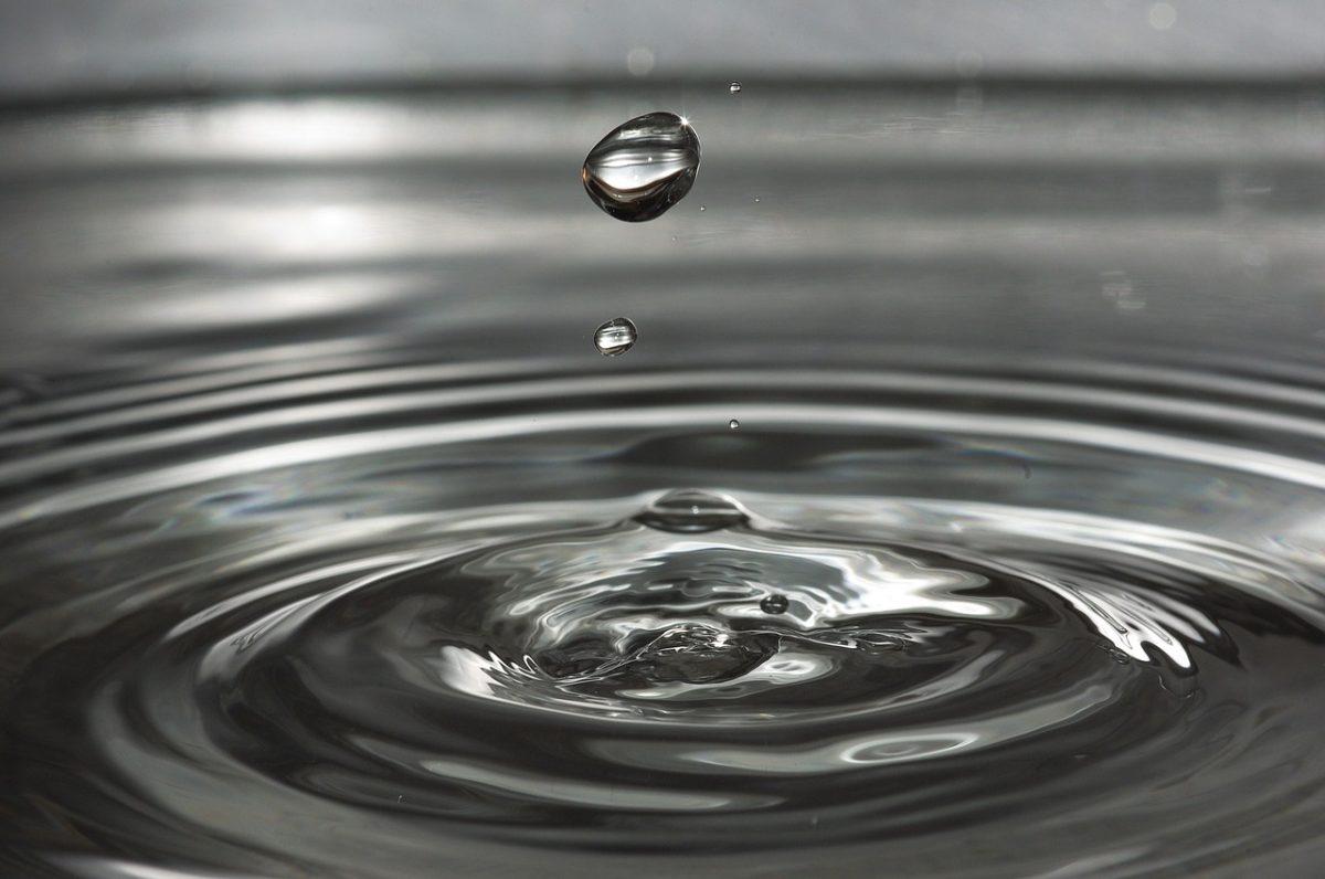 Inkwell Spotlight: The Problems of Purity