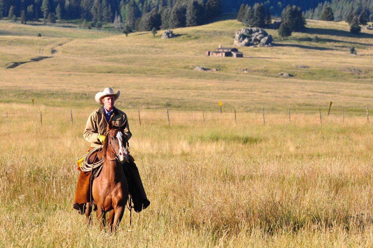 Mira, Vaquero