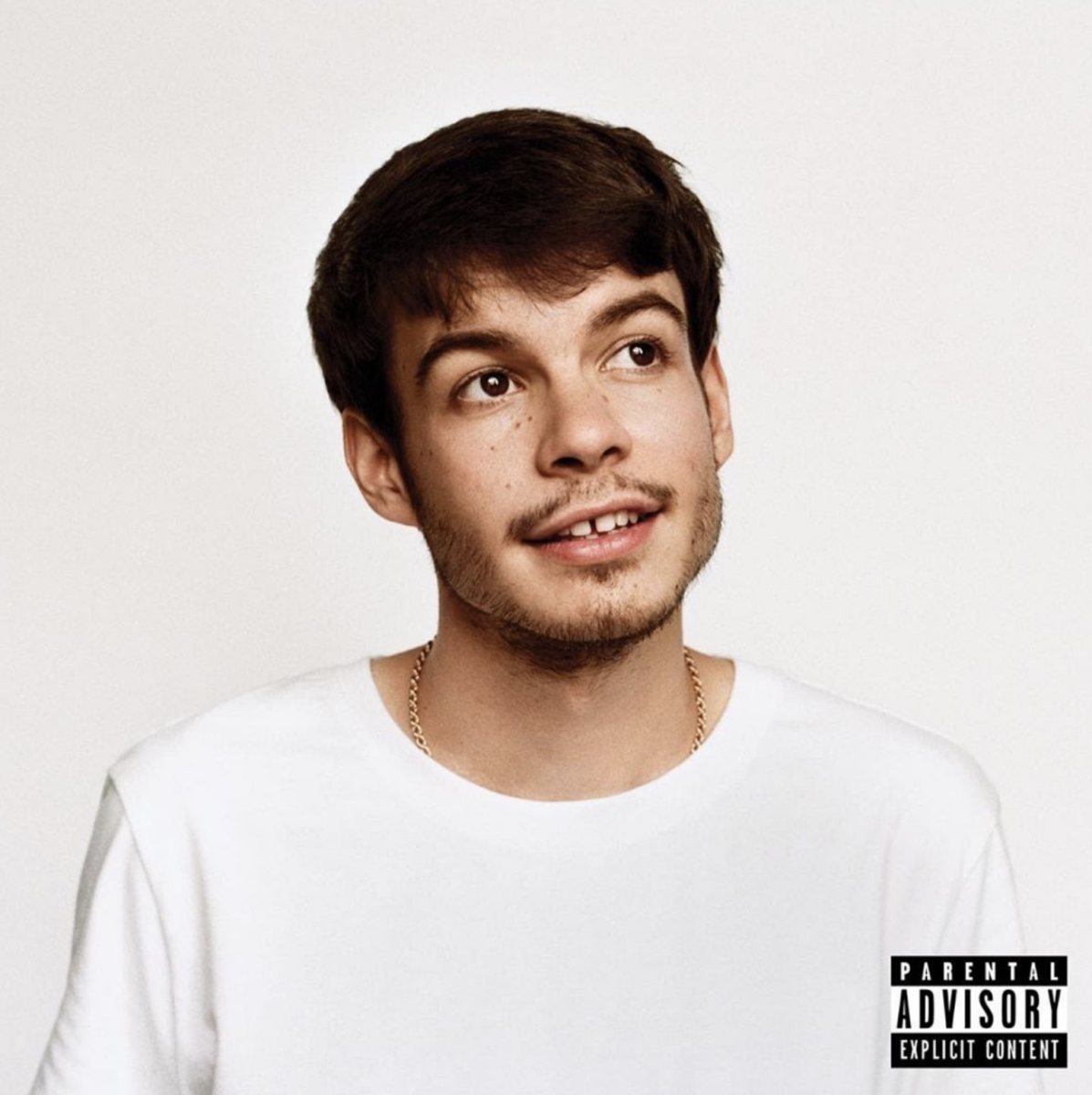 Rex Orange County Releases 'Pony'