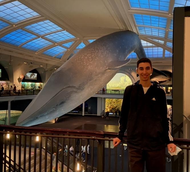 Matthew's Magical Museum Adventure
