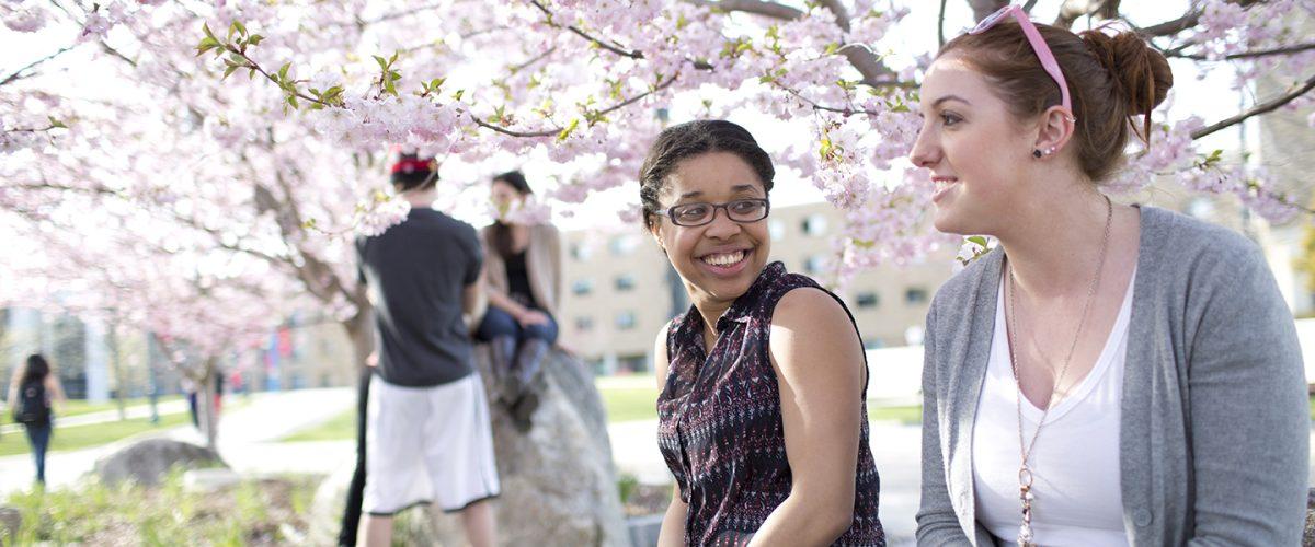 Creative Commons/ Fairfield University