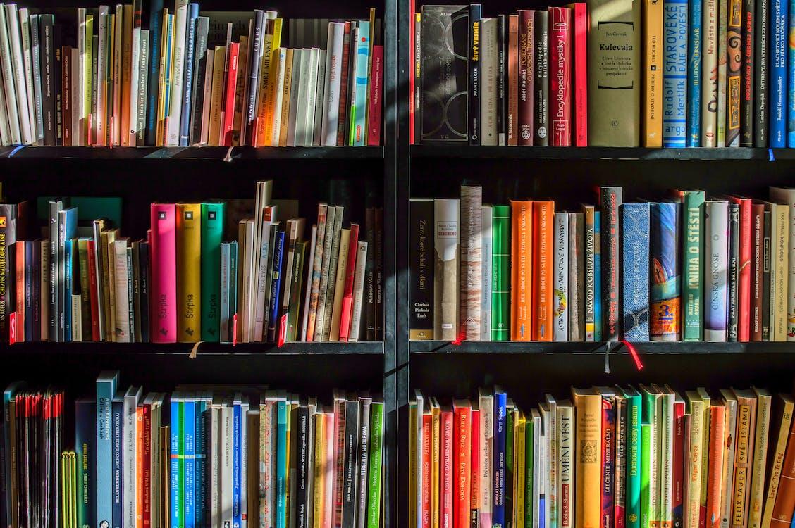Three Books For Your Summer Bucket List