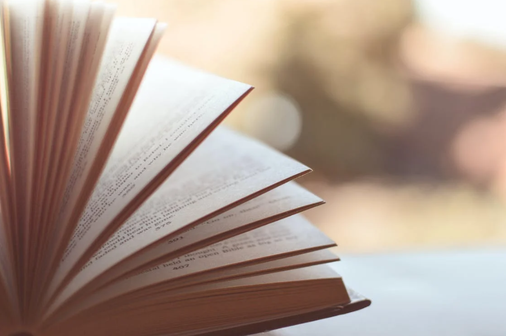 Banned Books: Diving Into "Madame Bovary"