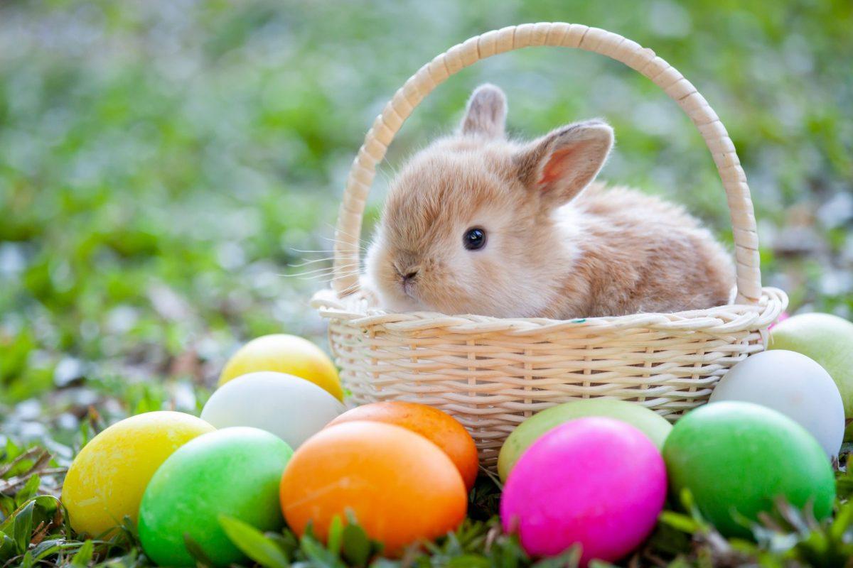 Hop Into Spring: Egg-citing Easter Traditions