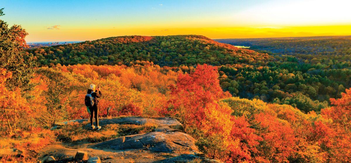 Step Into Nature: Best Hiking Trails