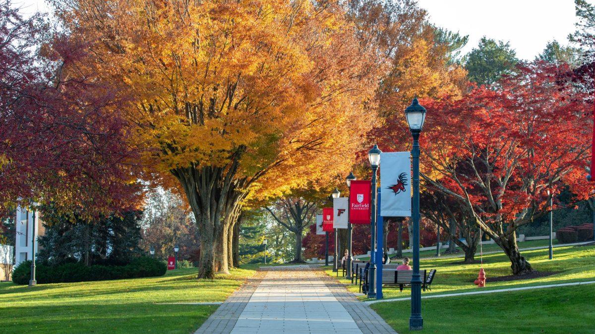 Landscape,  beauty,  campus,  Grass,  Human,  Leaf,  Maple,  Outdoors,  Path,  Person,  Plant,  Tree,  Tree Trunk
Fall campus beauty shots.  November 2022