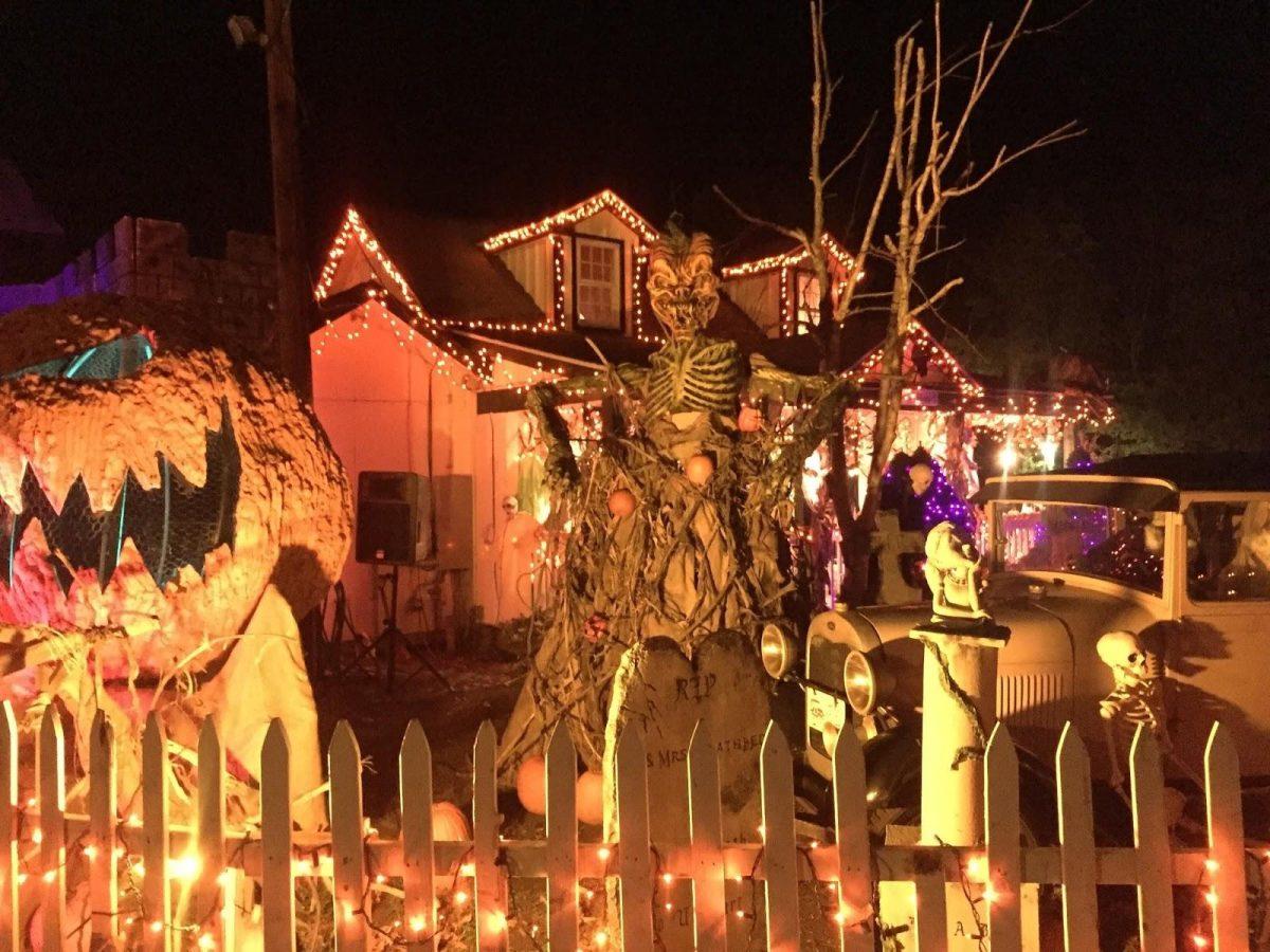 Fairfield Frights: Harrowing Halloween Activities 