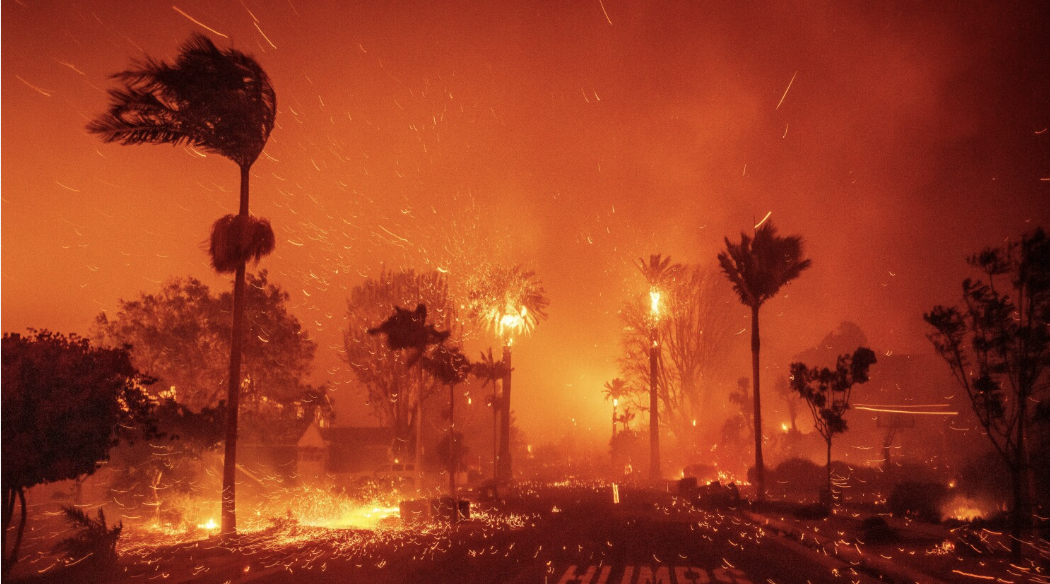 Wildfires in California: How Can You Help