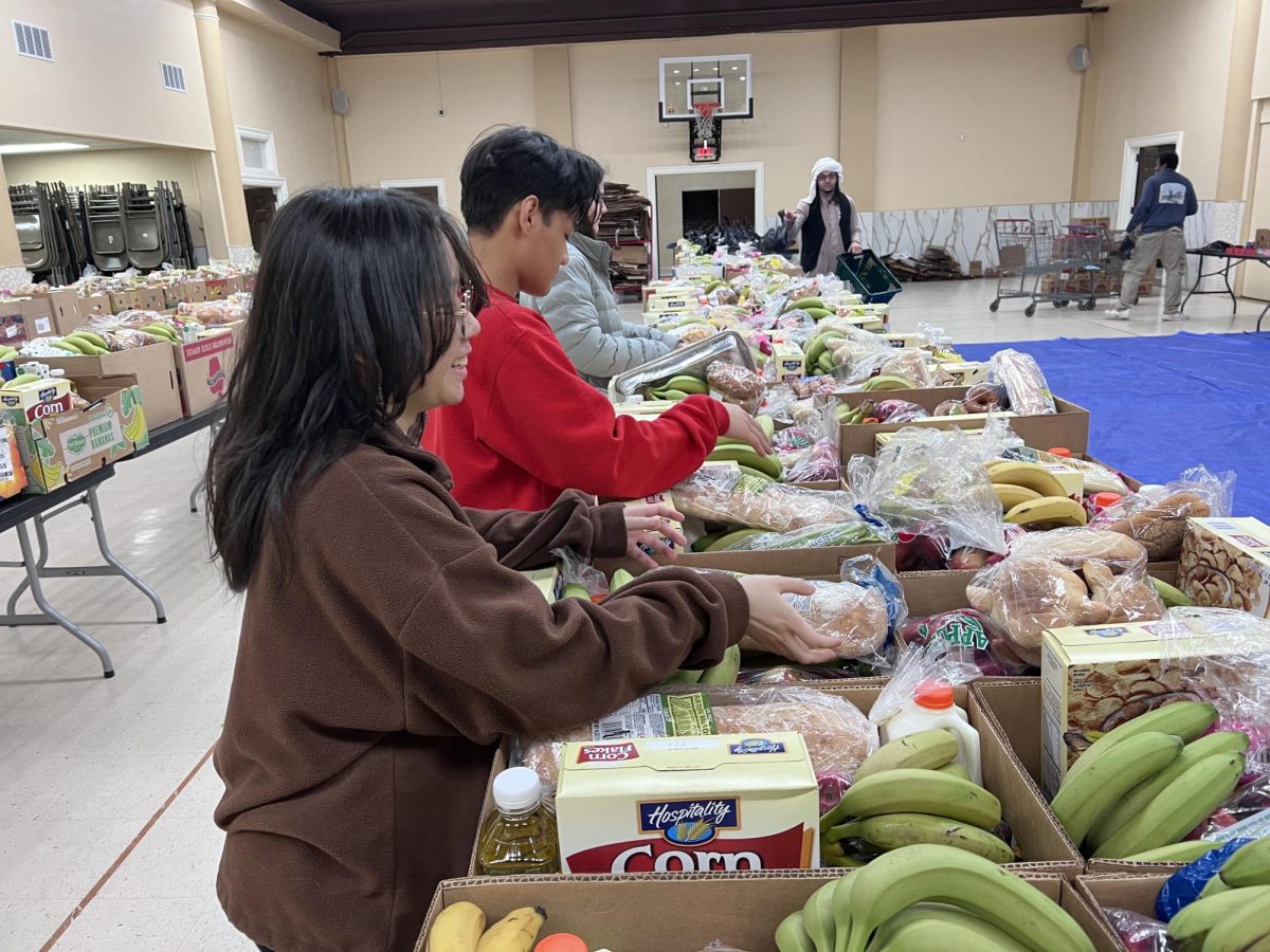 Campus Ministry Service Opportunities Wrap Up